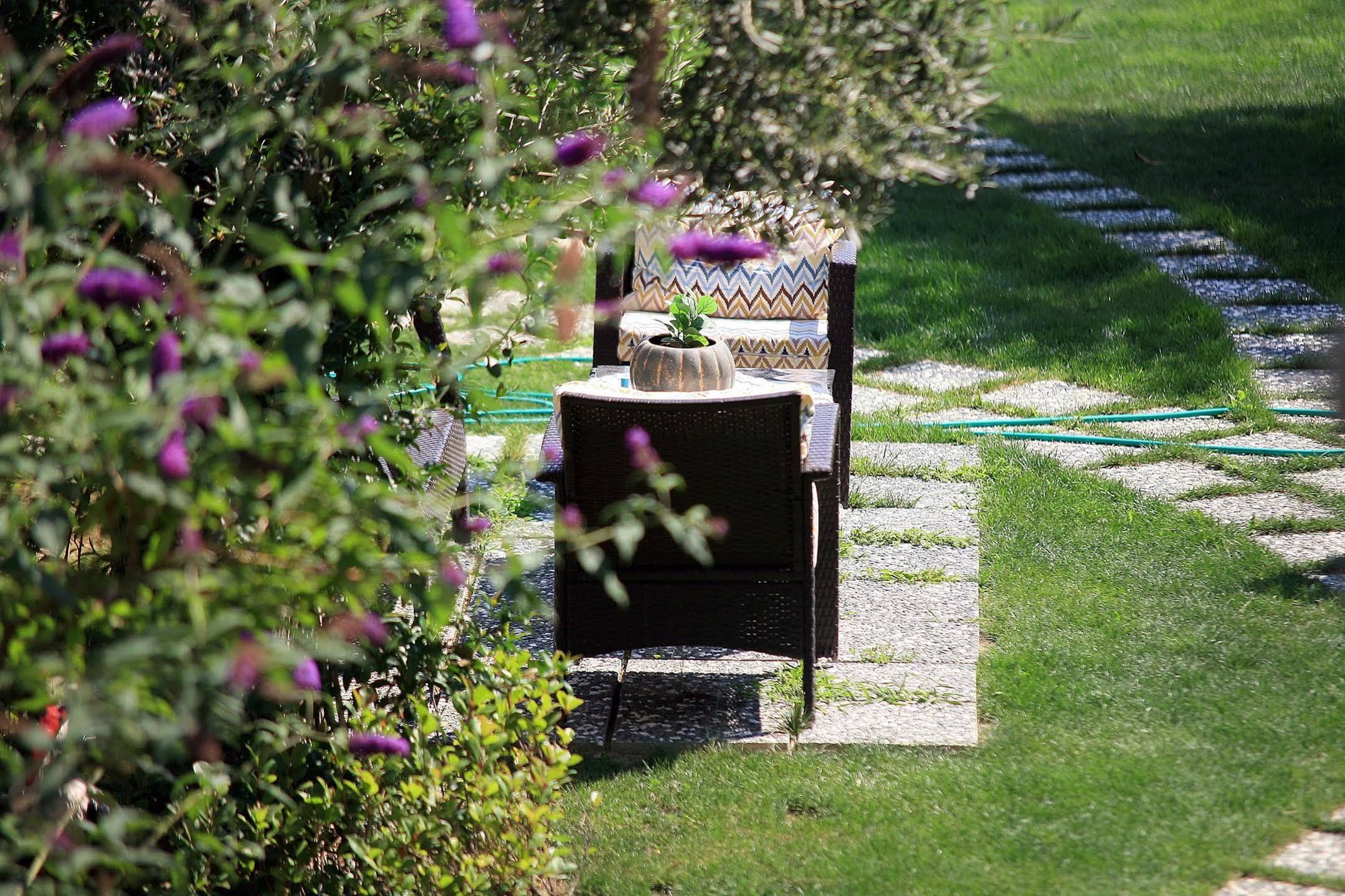 Niluefer Butik Otel (Adults Only) Ayvalı Buitenkant foto